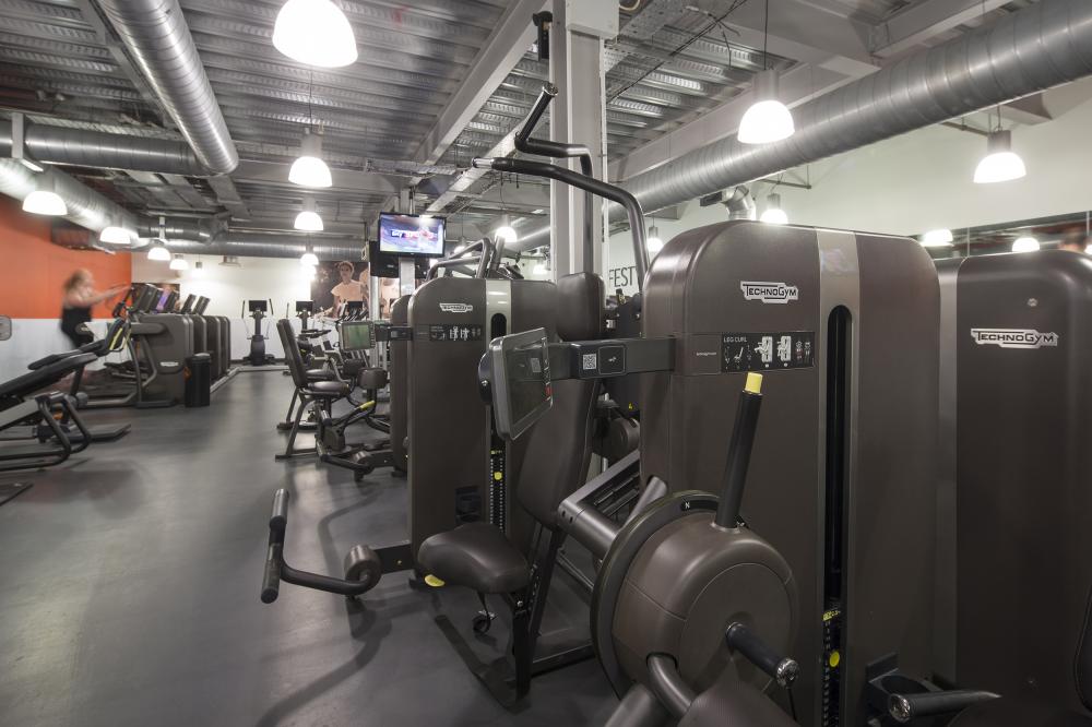 Gyms in Chester l Gyms Near Me l the club and spa Chester